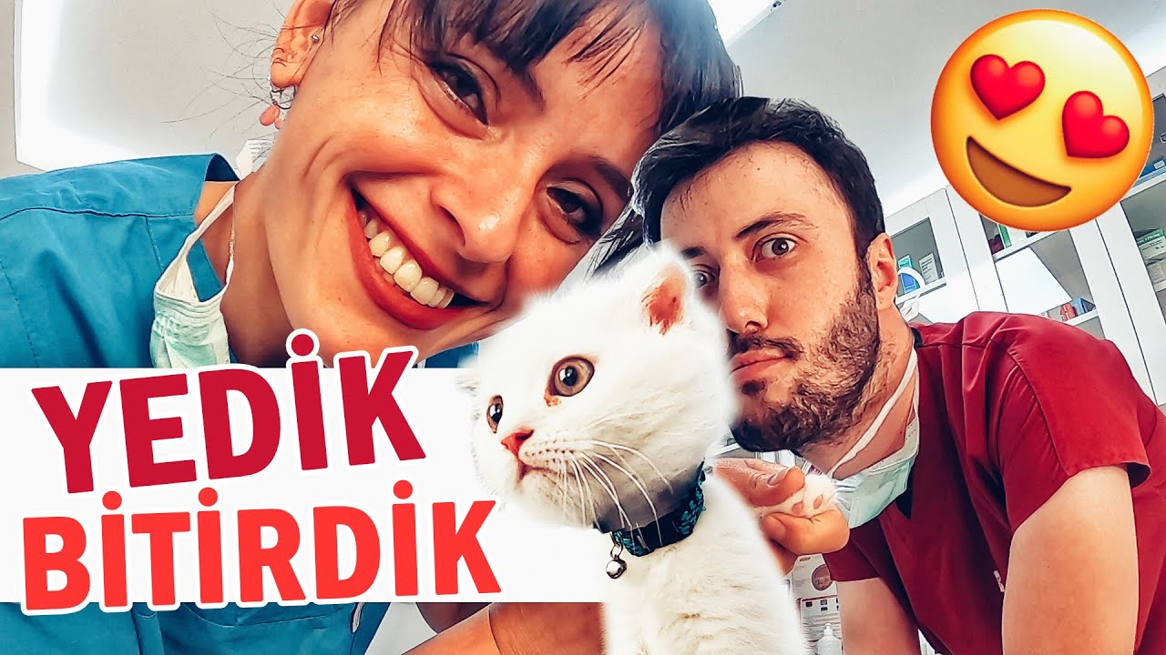 D&Uuml;NYALAR TATLISI! 😜 (İzlemeye Doyamayacaksınız) Yavru Sevimli Beyaz Kedi