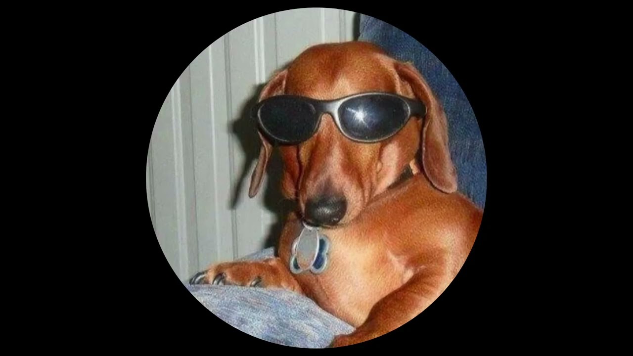 HOUSE #1 Laika ( Deep House) - 2026 House Mix