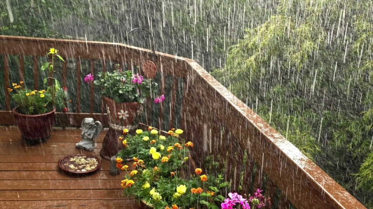 Summer Rain on the Cottage Roof 🌿 Cottagecore Rain & Violin Ambience