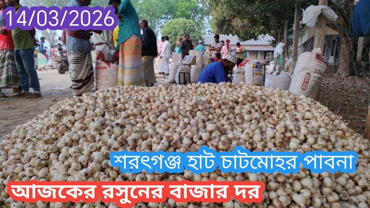 14 March 2026 রসুনের বাজার দর। আজকের রসুনের বাজার দর। Garlic market price rate today 