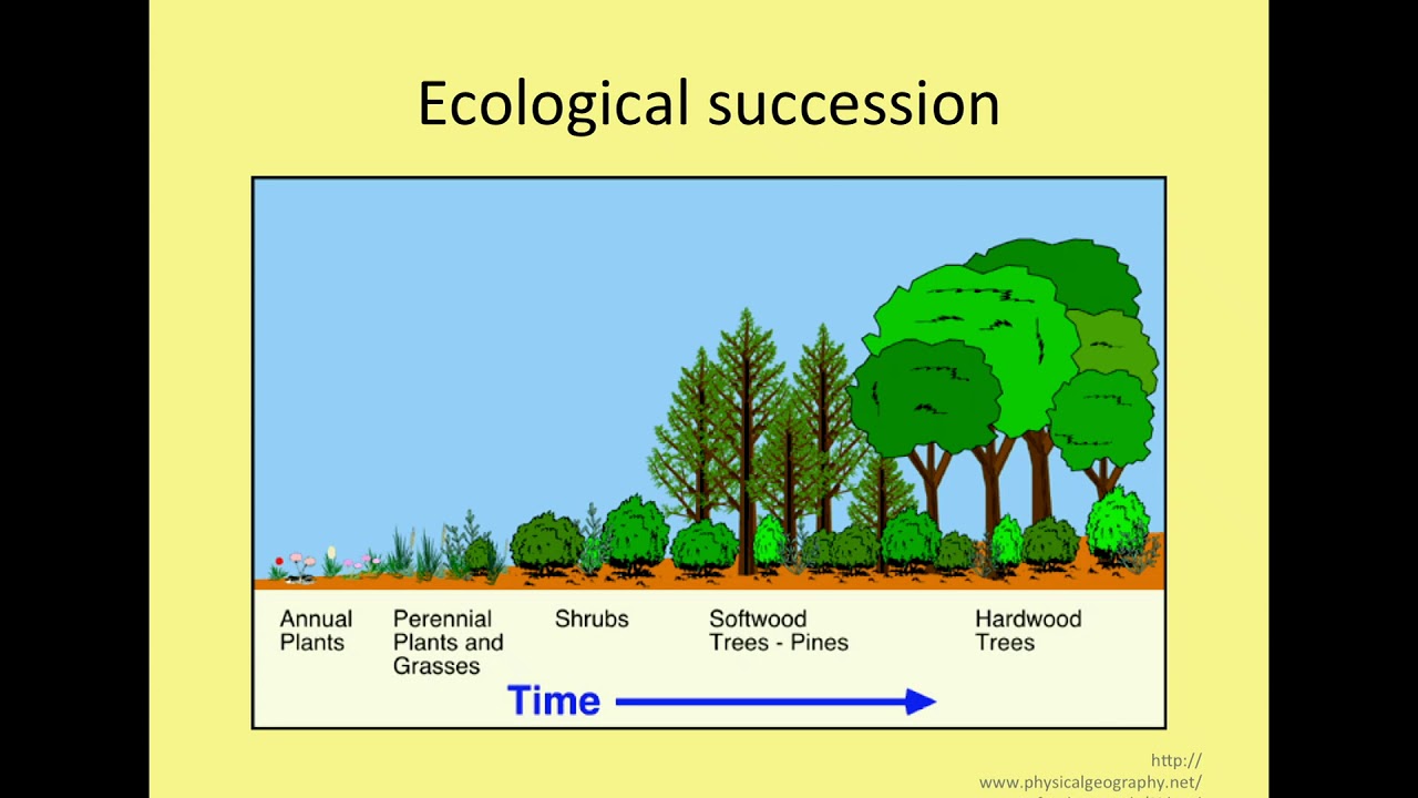 Introductory lecture - The Ecology of Microbial Communities