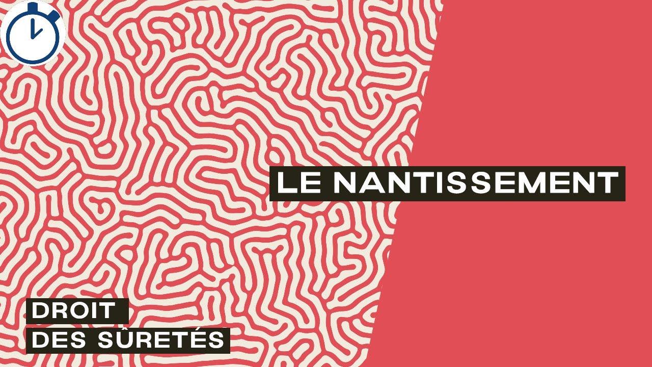 Le Nantissement (nantissement de créance et nantissements spéciaux)  : [Droit des sûretés]