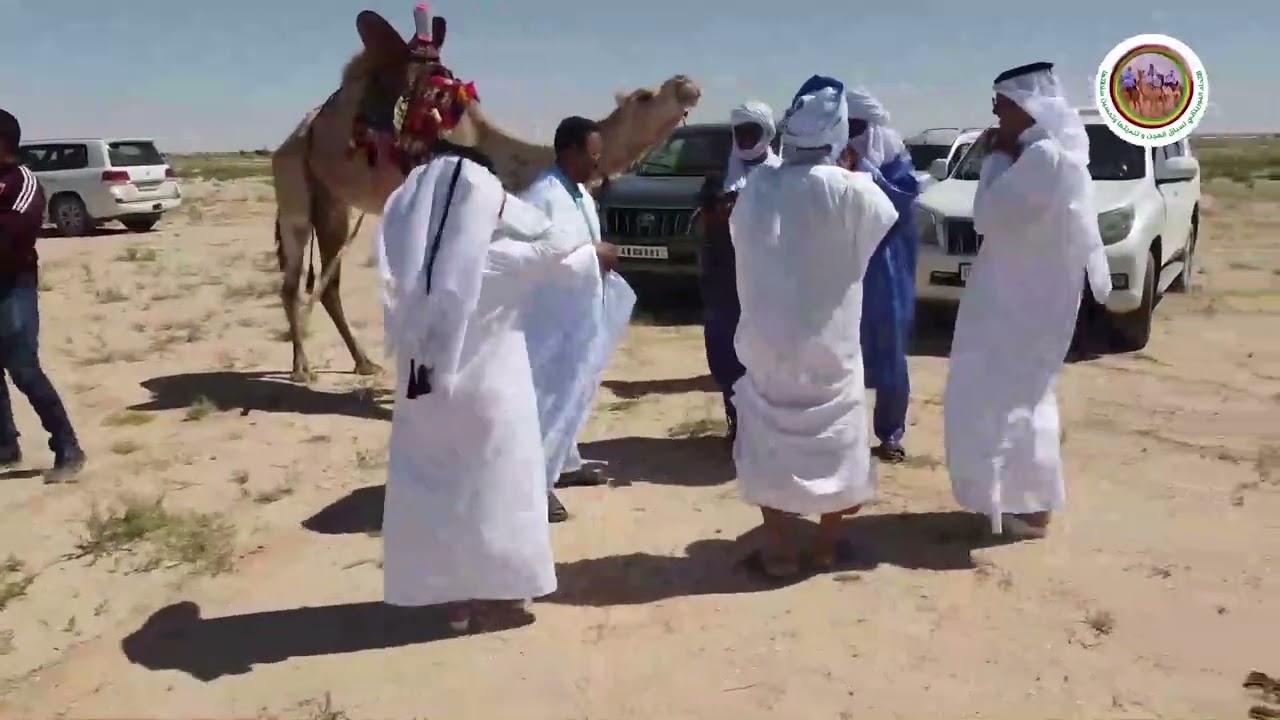 بطولة سباق موريتانيا الدولي للهجن  في نسخته الثانية