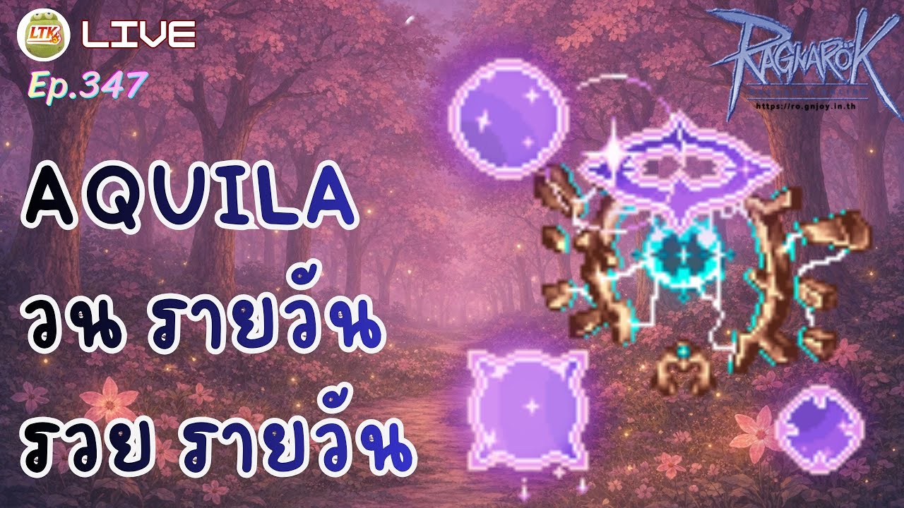 LIVE 🔴 วน Aquila ร่ำ รวย ระยะสั้น | Ragnarok Online Gravity