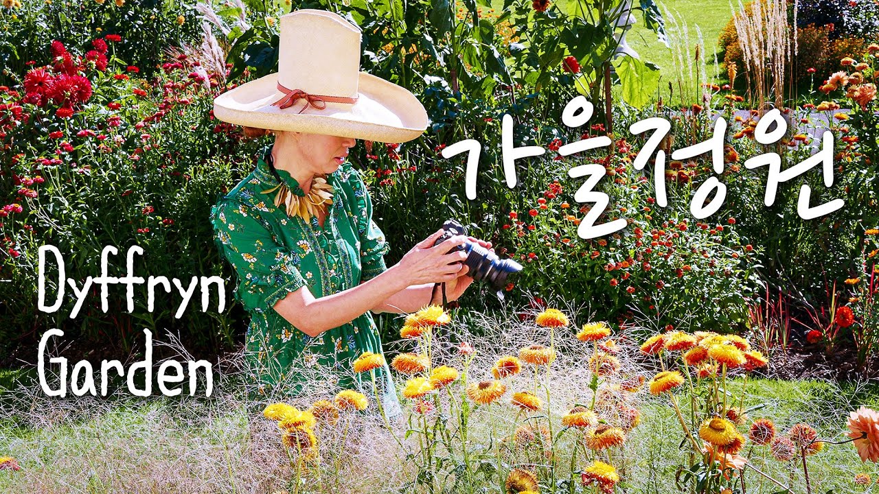웨일즈의 숨겨진 걸작 DYFFRYN GARDEN / 영국의 가을 정원 색색의 컬러 콤비네이션 / 꽃 선택의 중요성