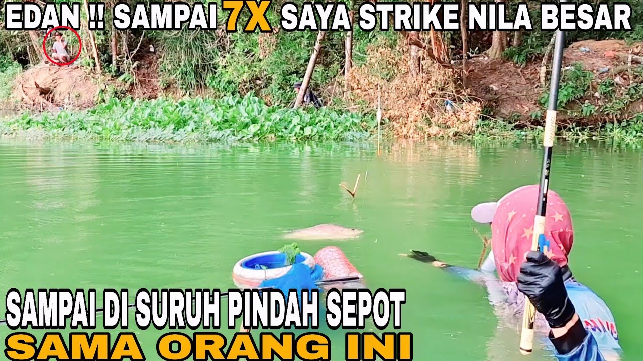 FUUL NILA BESAR² !! CAMPURAN LUMUT INI SANGAT AMPUH UNTUK MANCING NILA LIAR
