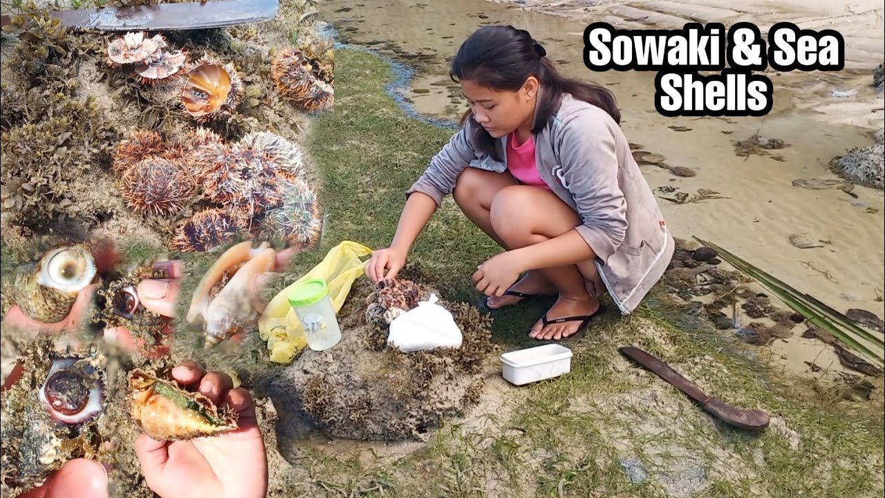 Panginhas - Ang laki ng hibas libre nanaman sa ulam daming Sea Shells at Sowaki | Pt.120