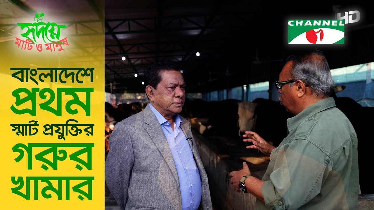 বাংলাদেশে প্রথম স্মার্ট প্রযুক্তির গরুর খামার | Shykh Seraj | Channel i |
