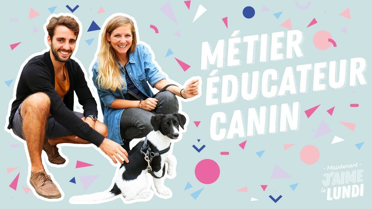 Comment devenir éducateur canin : tout sur le métier, les formations et les conseils