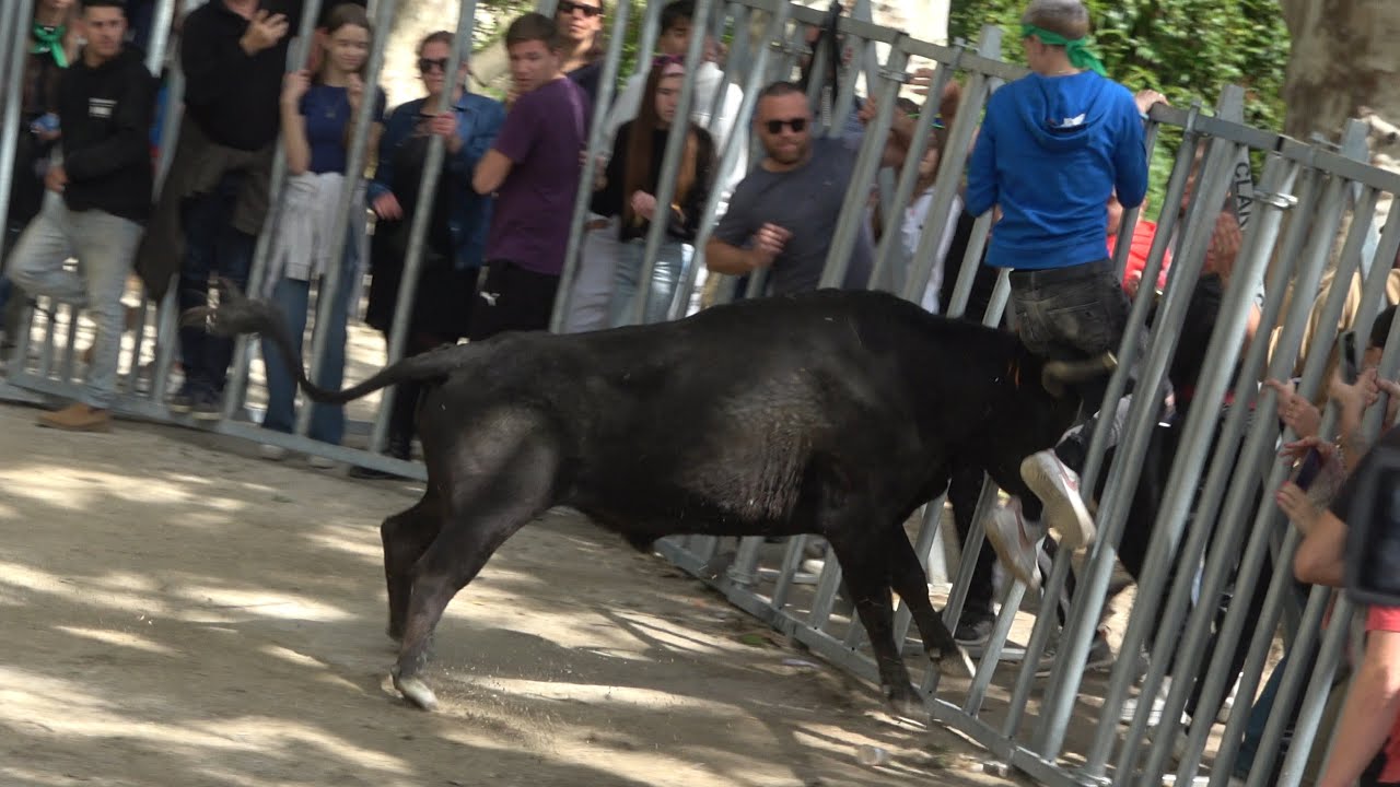 LANGLADE COURSE AU PLAN + BANDIDO PARCOURS OUVERT 04/05/24