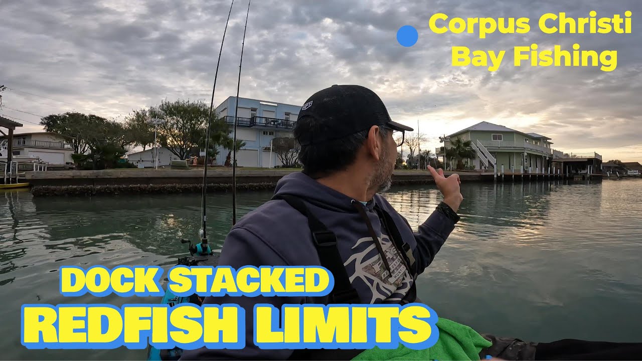 Fishing Corpus Christi Tx Bay - Redfish Limits in one spot!