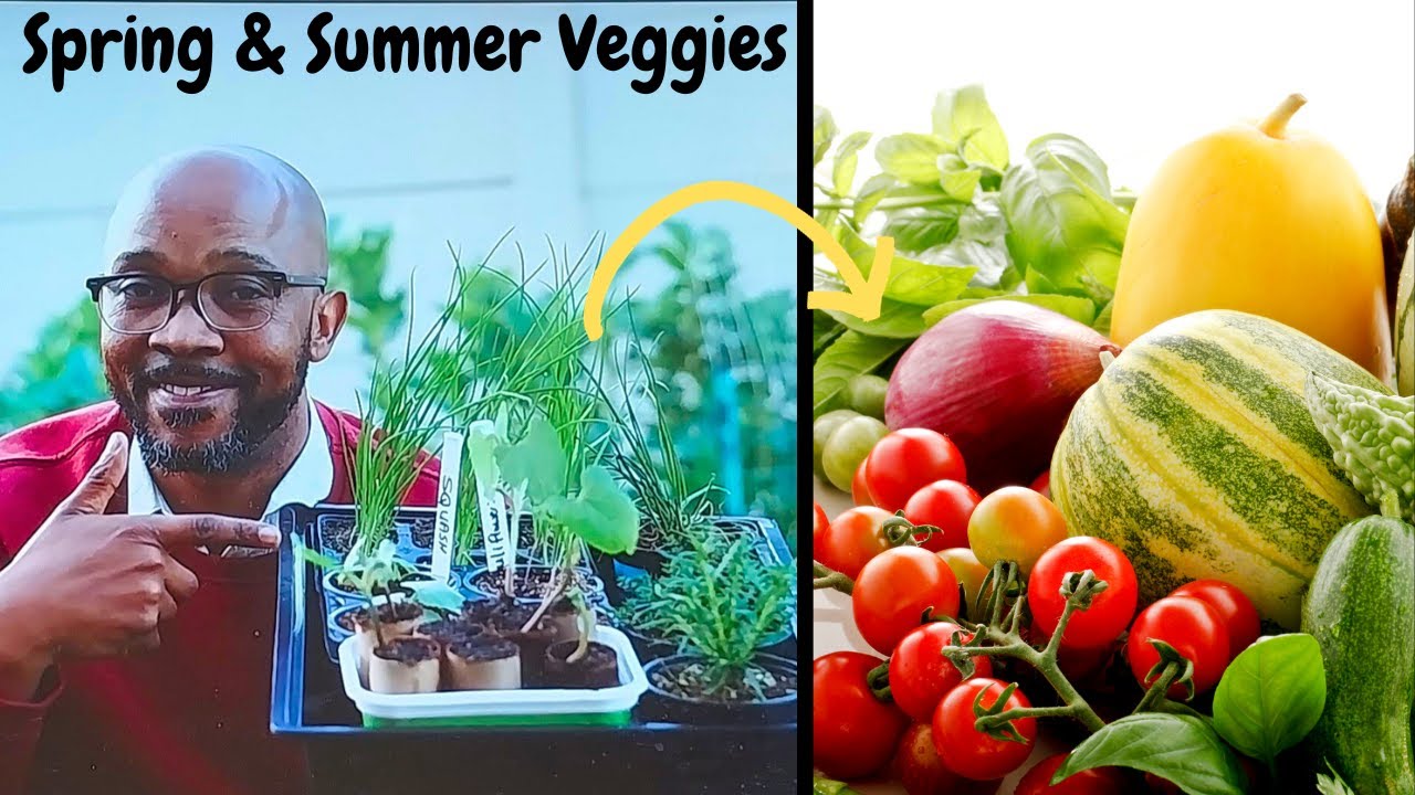 Crops for a Flourishing Spring and Summer Vegetable Garden_ South African Garden