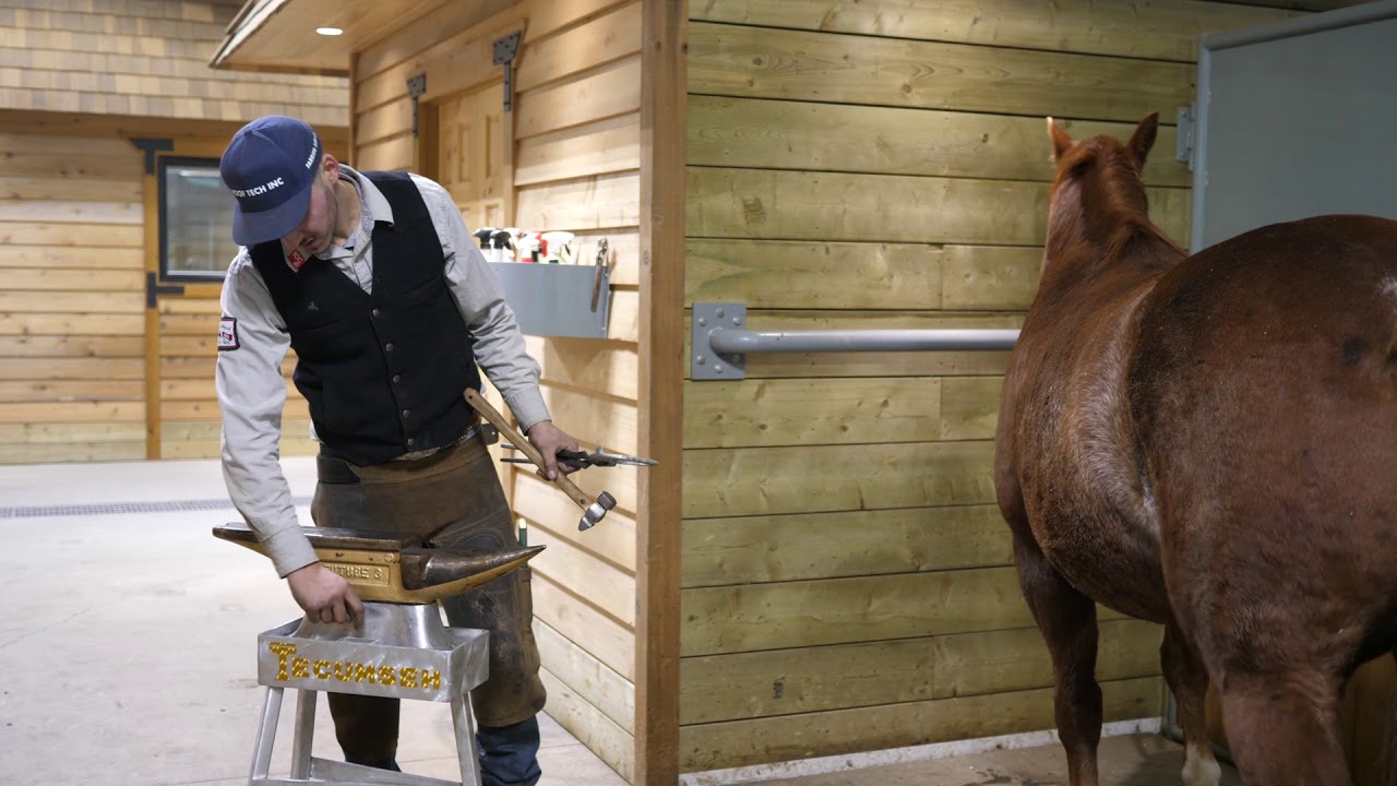 Tecumseh Farm Ranch - Anvil Stand