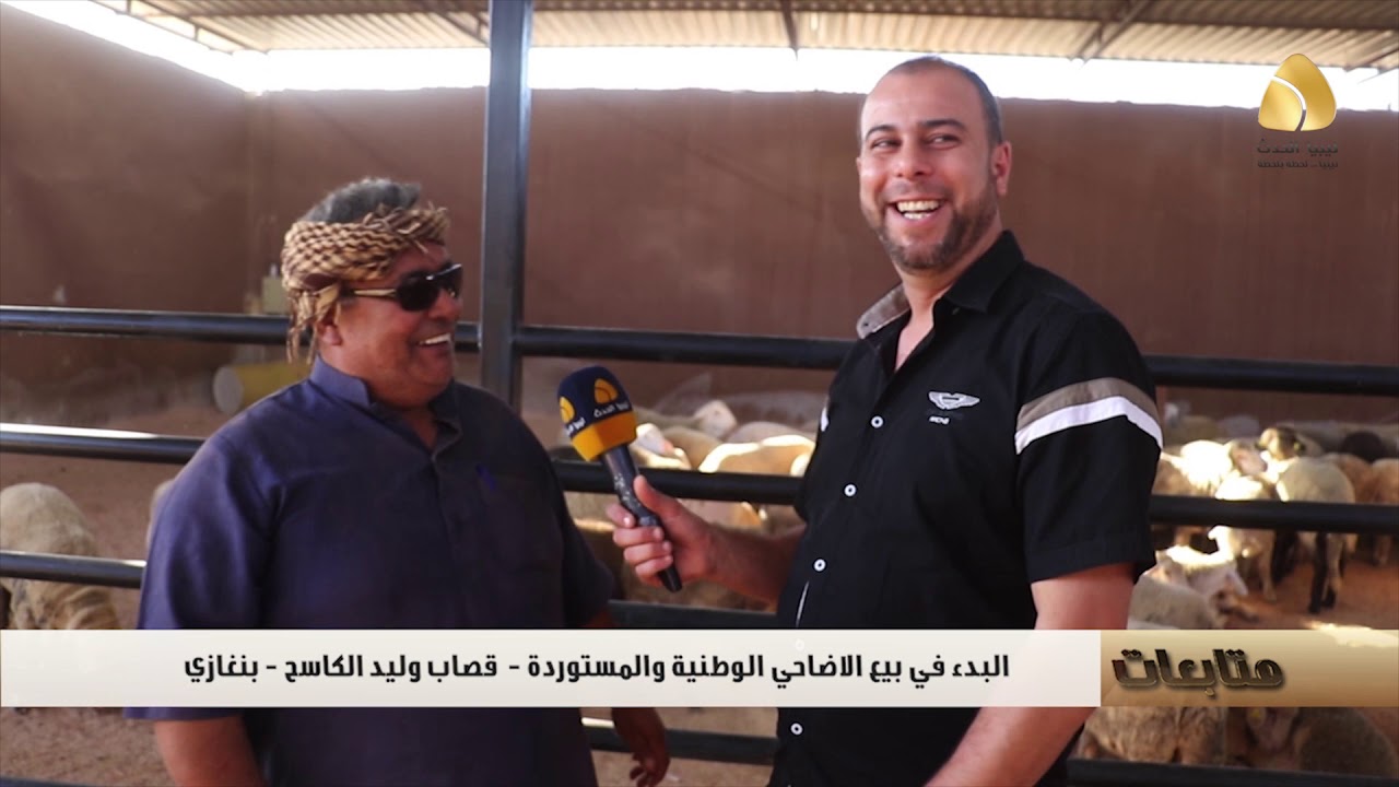متابعات : البدء في بيع الاضاحي الوطنية والمستوردة -  قصاب وليد الكاسح - بنغازي