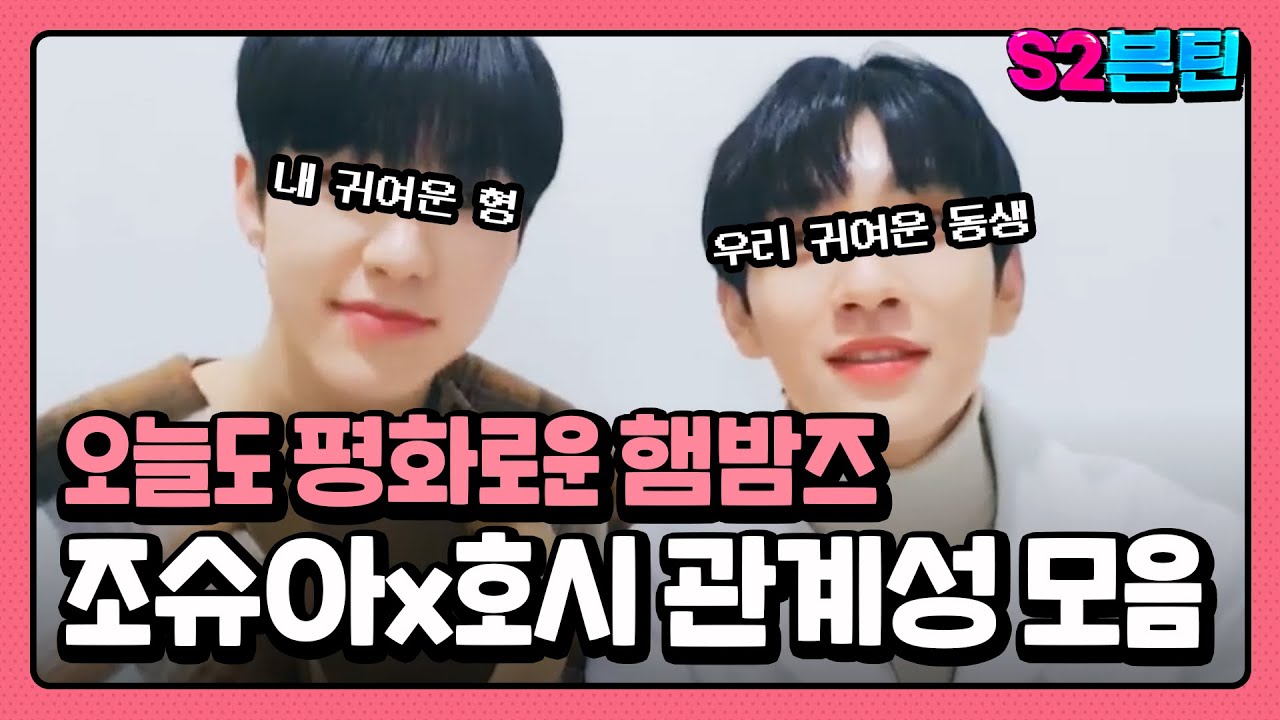 [세븐틴] S2븐틴 Ep.6 조슈아x호시 관계성 모음｜순하고 평화로운 소동물 햄밤즈 (심신안정용)