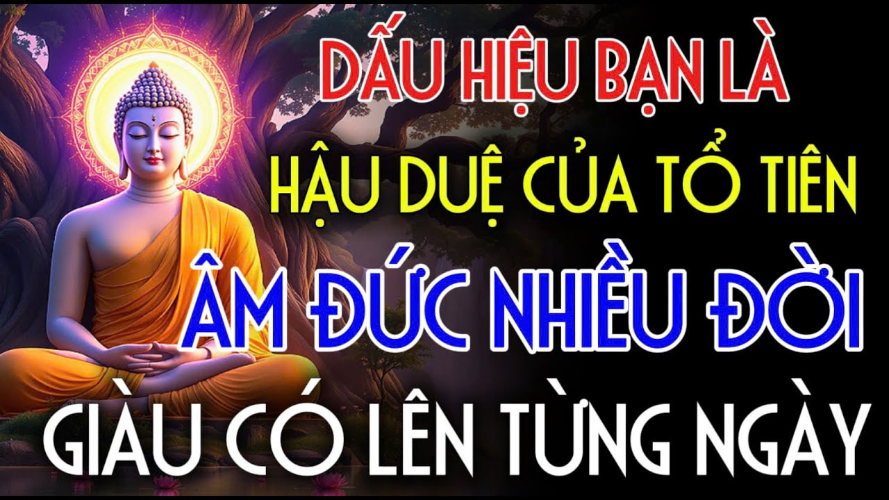 8 DẤU HIỆU BẠN LÀ HẬU DUỆ CỦA TỔ TIÊN, ÂM ĐỨC NHIỀU ĐỜI, GIÀU LÊN TỪNG NGÀY | Nhân Tâm Chỉ Lộ