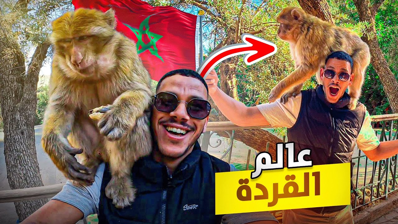 زيارة شلالات أوزود العالمية🌏 يجب عليك زيارة هذا المكان السفر الى المغرب 🇲🇦 OUZOUD Morocco