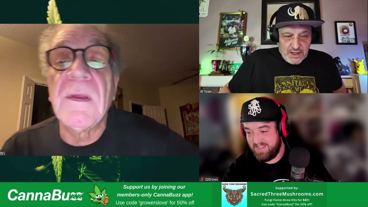 Joe Pietri's History: Amsterdam & Nepal strains & smuggling