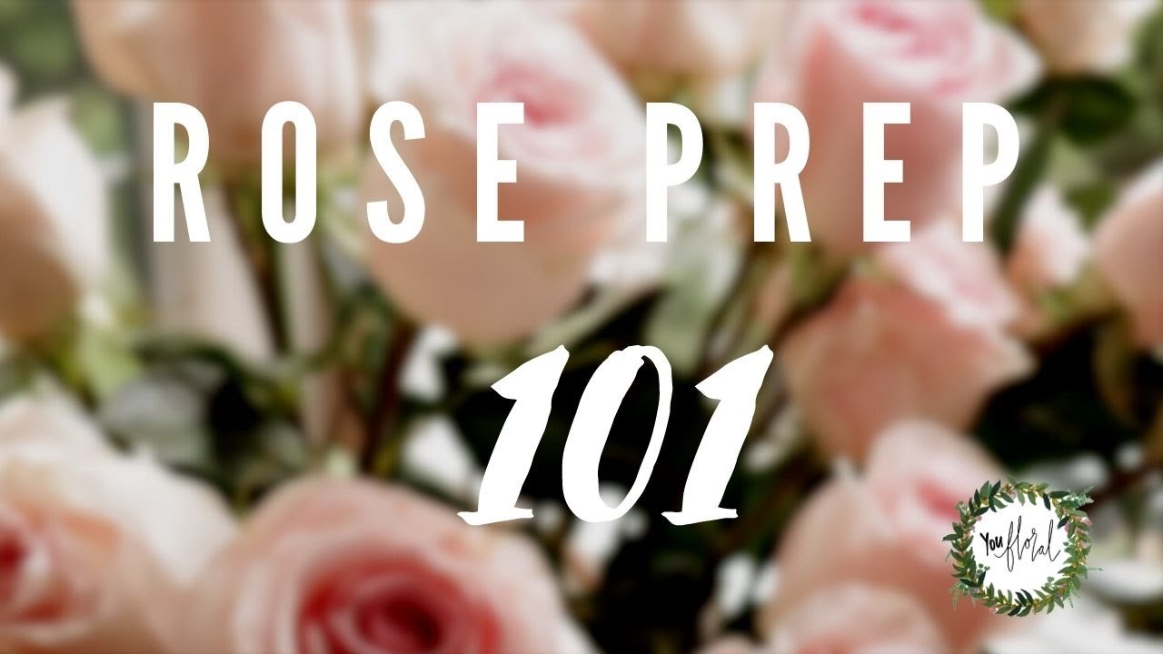 Роза 101: как профессионально подготовить оптовые розы | Урок по свадебному оформлению своими рук...