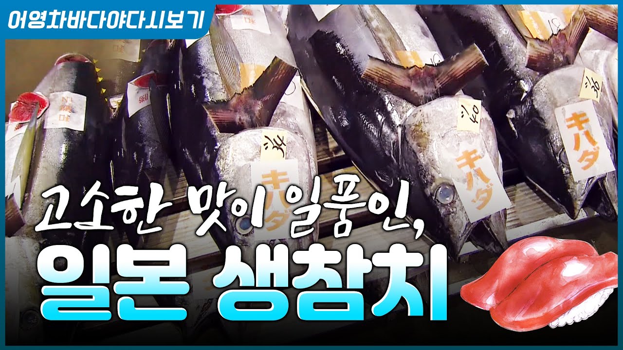 일본을 대표하는 생선, 참치와음식에 녹아있는 다양한 사연까지 일본바다 이야기를 만나본다 #생선 #참치 #일본 #바다