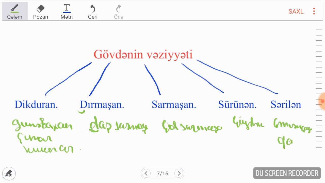 Vegetativ orqanlar Gövdə
