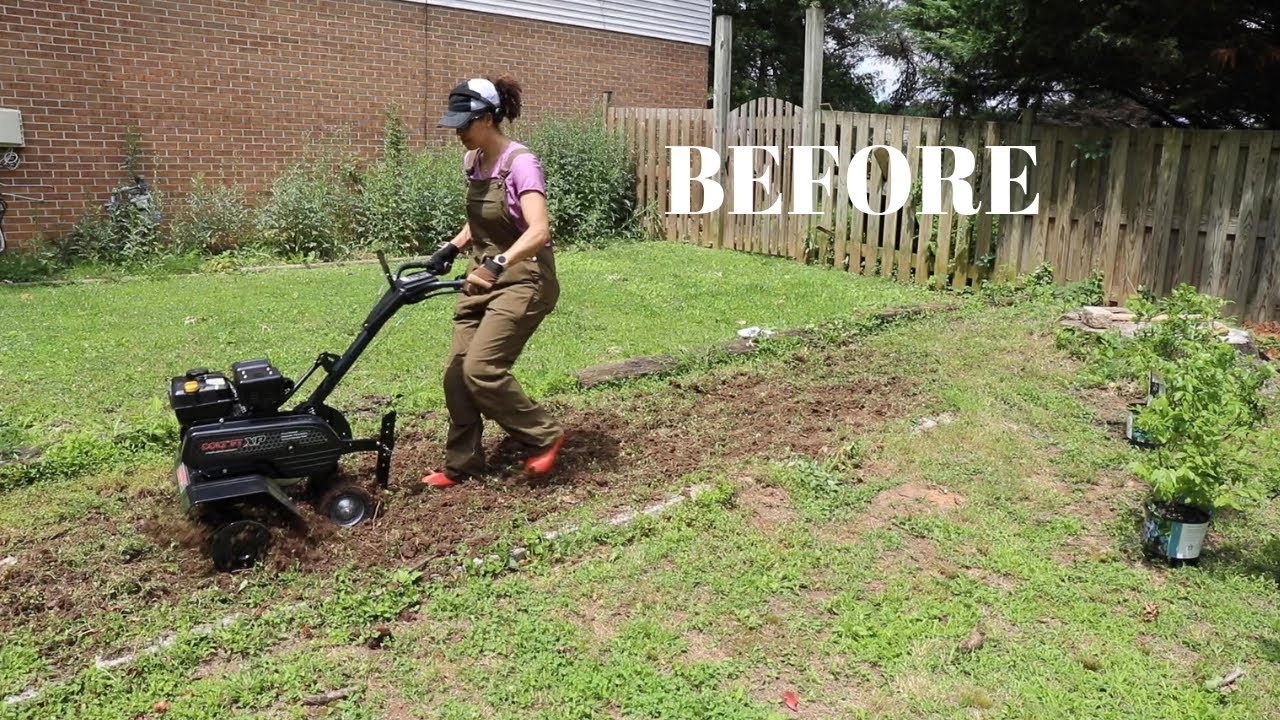 BEFORE & AFTER: I Planted Blueberry Bushes! - Thrift Diving