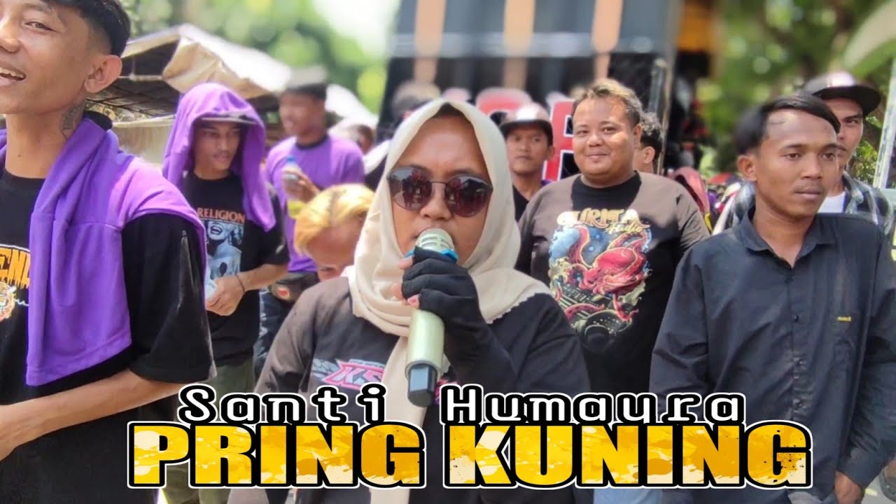 Pring Kuning Voc Santi Humayra ll Singa Depok KS PUTRA Desa Majasih Gang Kombayana 16 Oktober 2024