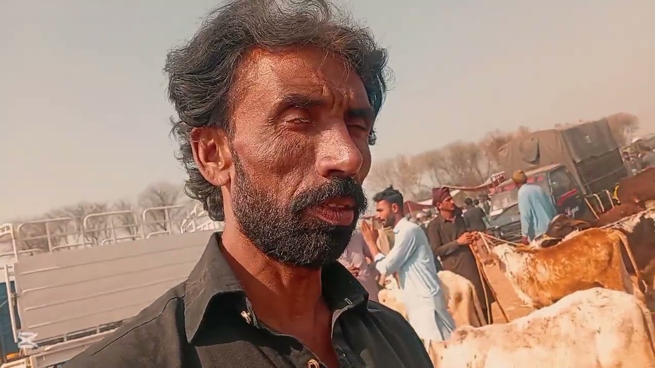 Janvaron ka shauk Karen visit Karen