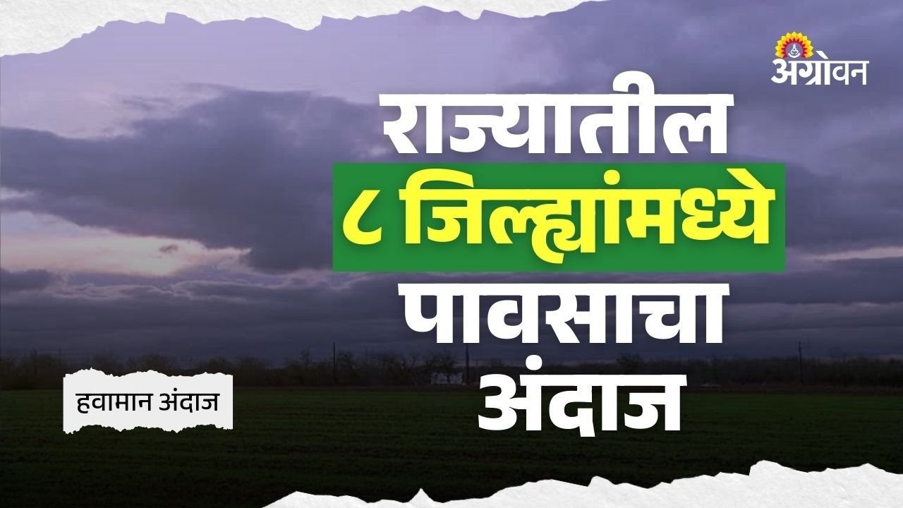 Rain Alert: विदर्भातील दोन जिल्ह्यांमध्ये विजांसह पावसाची शक्यता | Agrowon