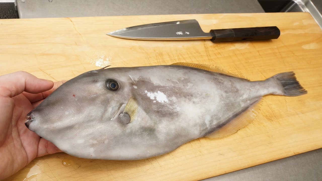 薄葉剥（ウスバハギ）の捌き方と刺身の作り方