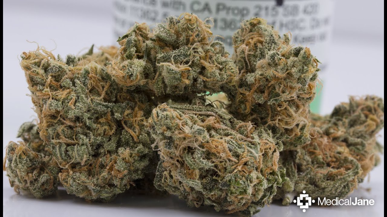Jungle Boys Strain Review .... Coming Soon !