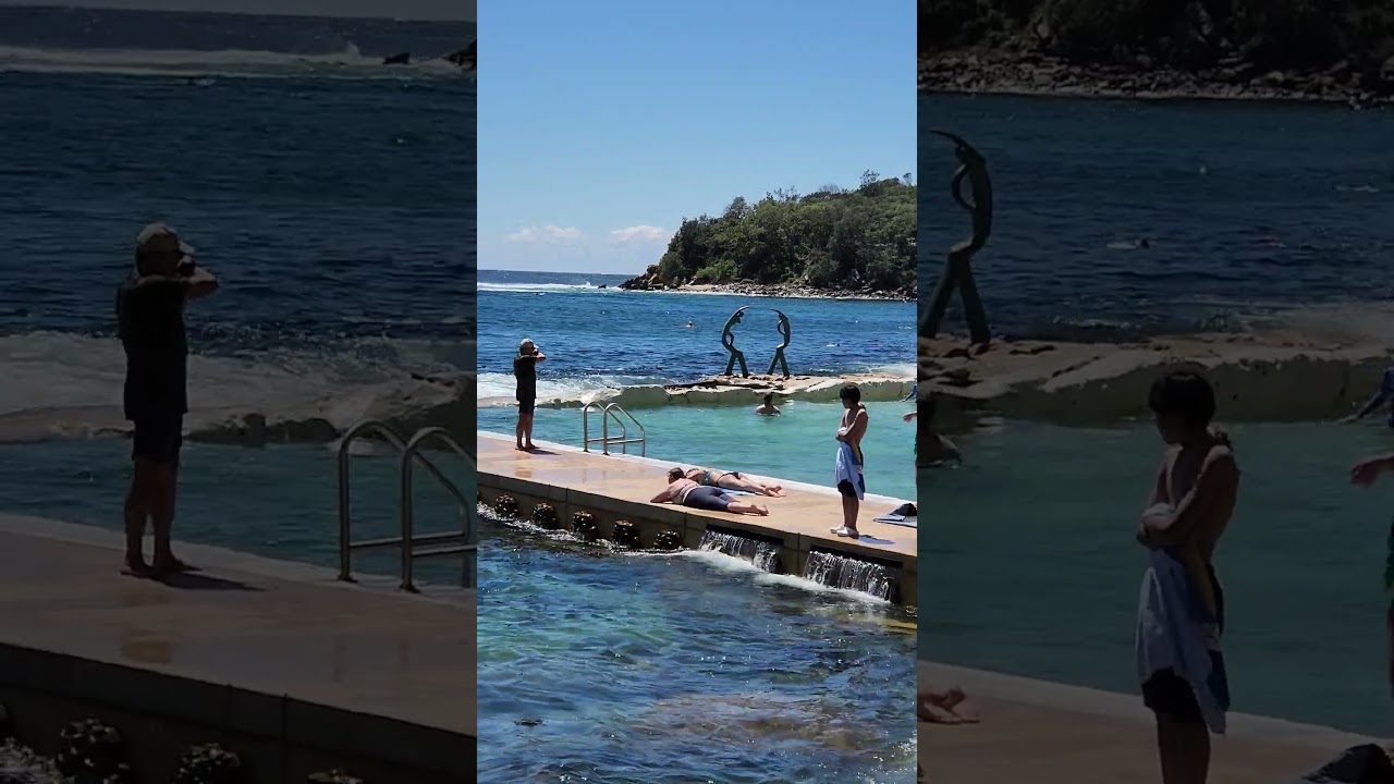 Discovering Fairy Bower Pool: Manly's Hidden Ocean Gem 