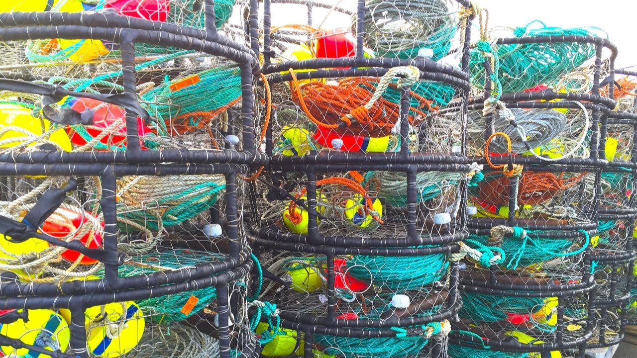 Top 5 Crabbing Gear Tips for Oregon Coast Crabbing