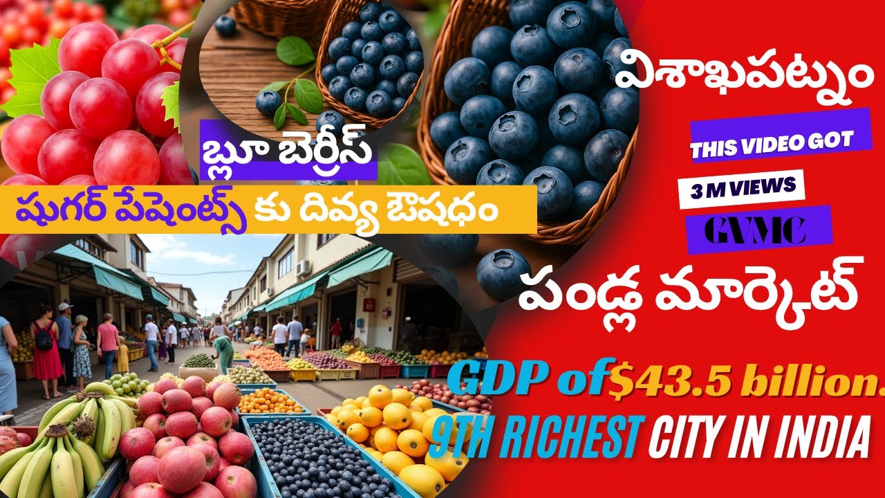 Wholesale Biggest Fruit Market Visakhapatnam మార్కెట్ లో ఫ్రూట్స్ రేట్లు అన్నీ చాలా తక్కువగా ఉన్నాయి