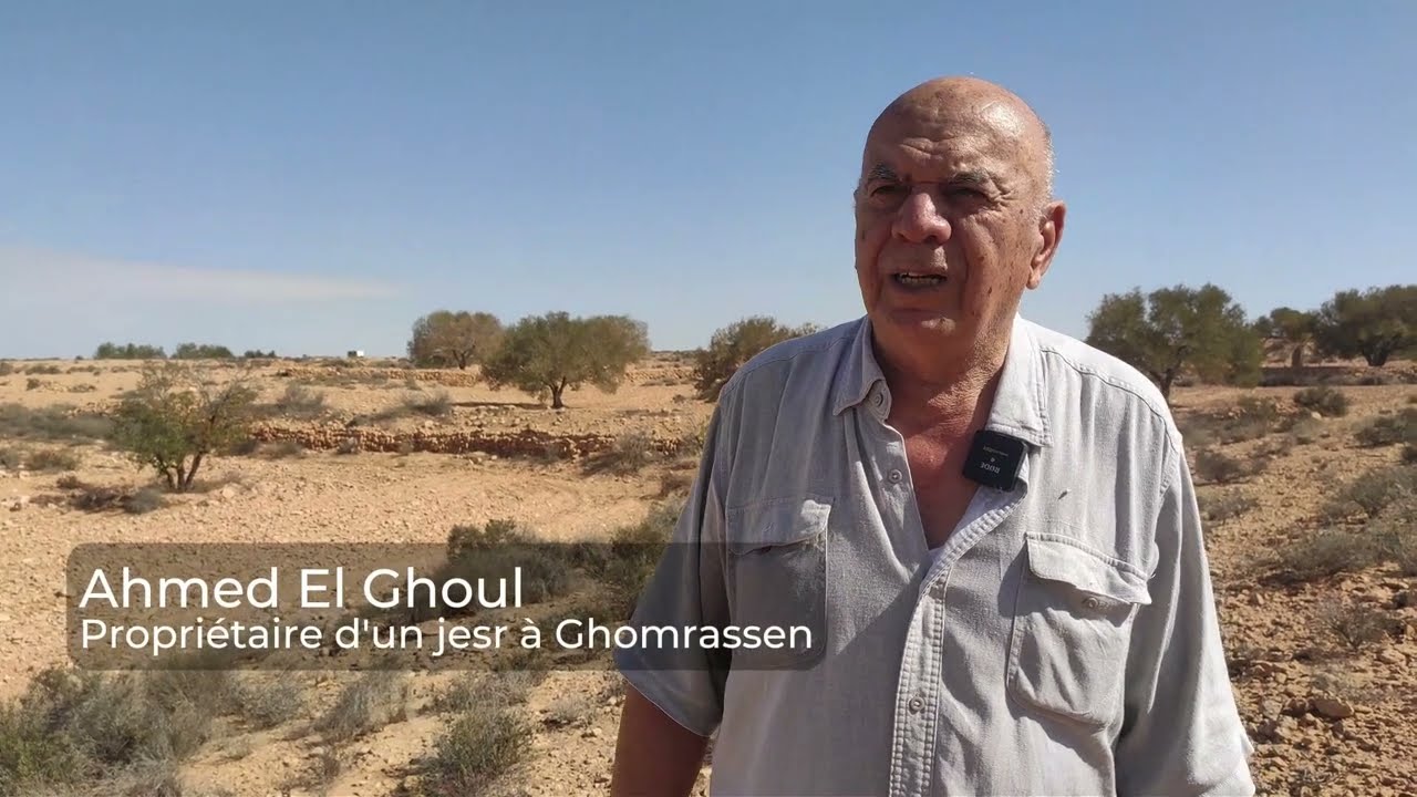 Les jessour : enjeux et pratiques autour d'un système hydro-agricole ancestral en Tunisie