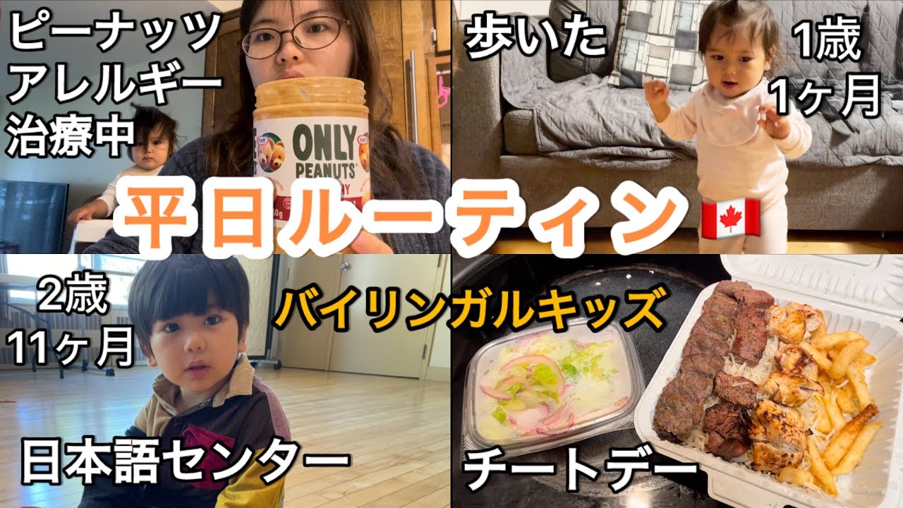 【平日ルーティン】1歳1ヶ月と2歳11ヶ月/日本センター/バイリンガルキッズ/チートデー/子育て/カナダ