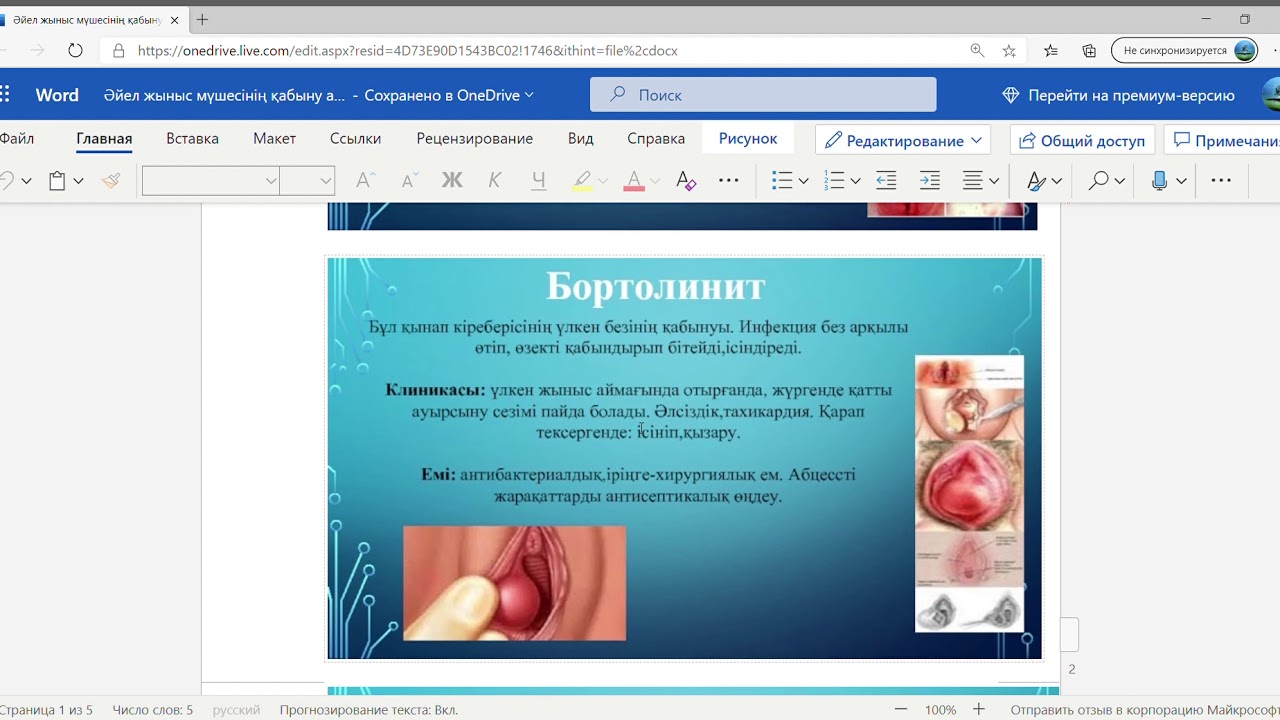 Әйел жыныс мүшесінің қабыну аурулары docx &mdash; Microsoft Word Online &mdash; Личный  Microsoft​ Edge 2020 12