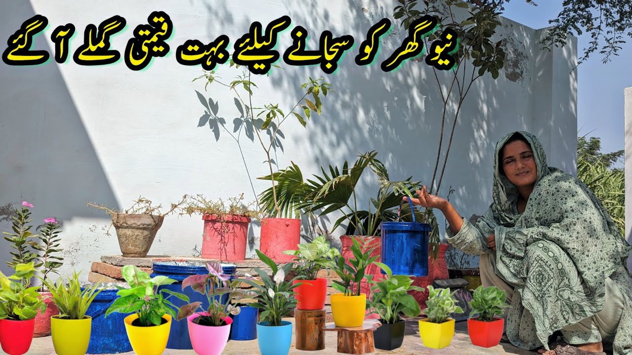Ye Gamly ham ny Bahir k mulk sy mangwaye Hain 🥰 dekhein Kesy lagy ?