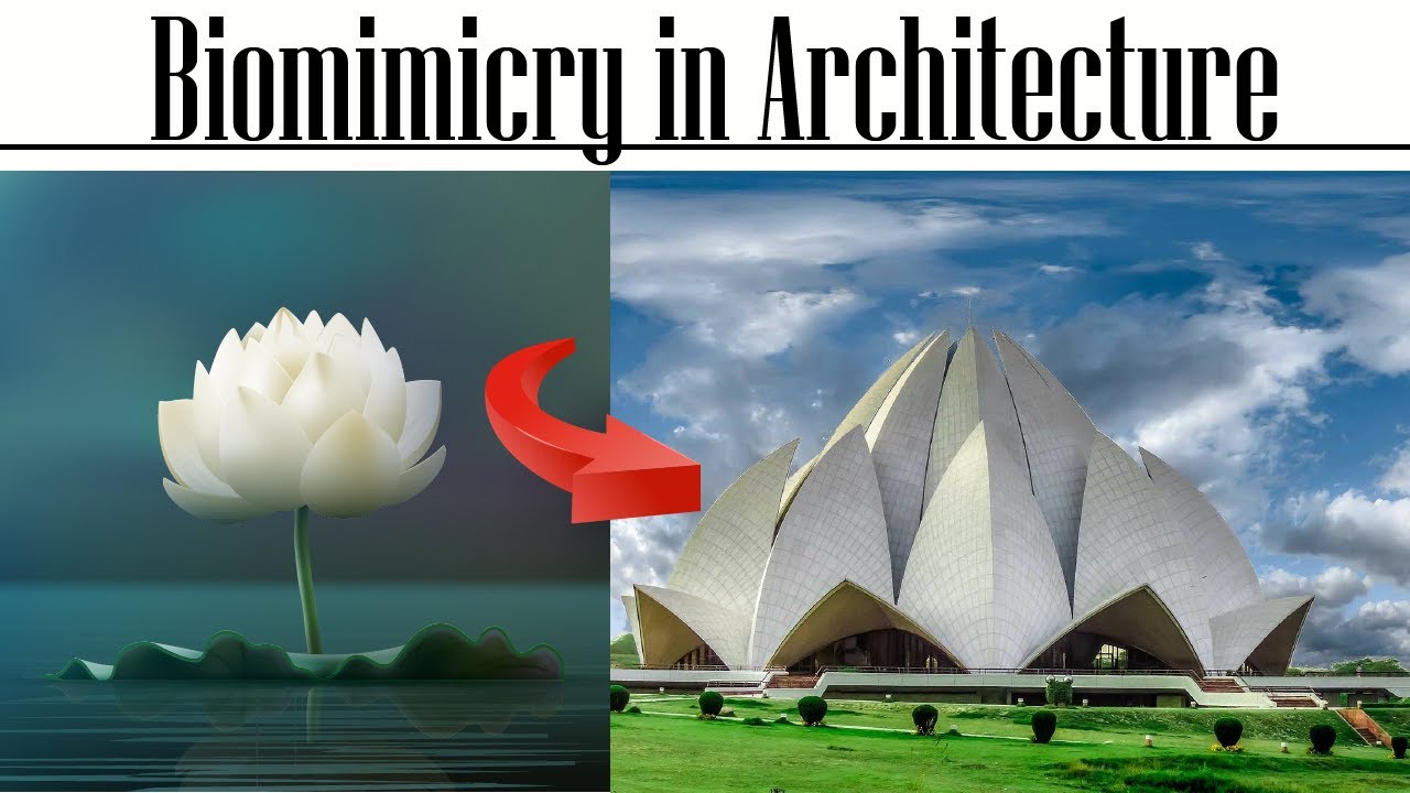 Biomimicry in Architecture