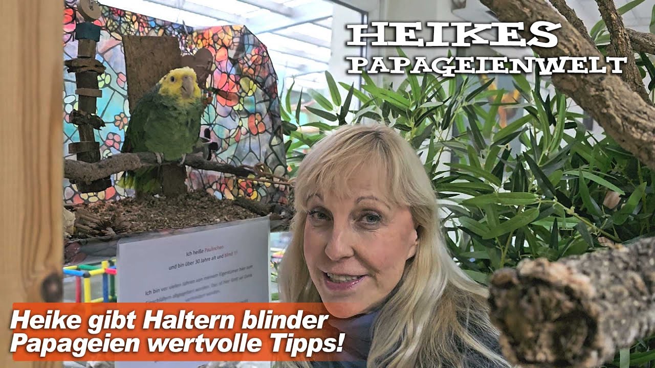 Blindheit bei Papageien - Infos von Heike Mundt