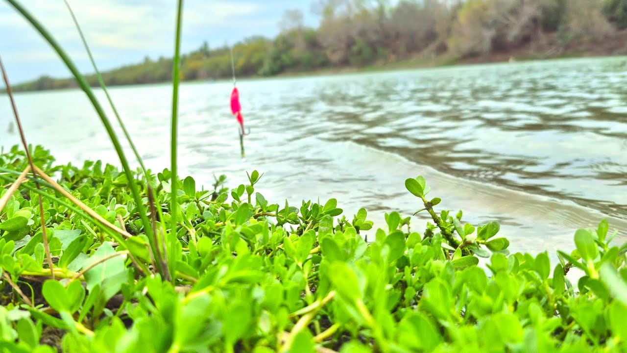 Corpus Christi state park with friend to explore a new place 😀