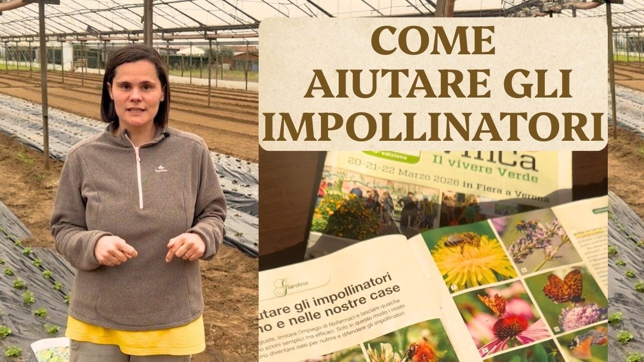 AIUTARE GLI IMPOLLINATORI