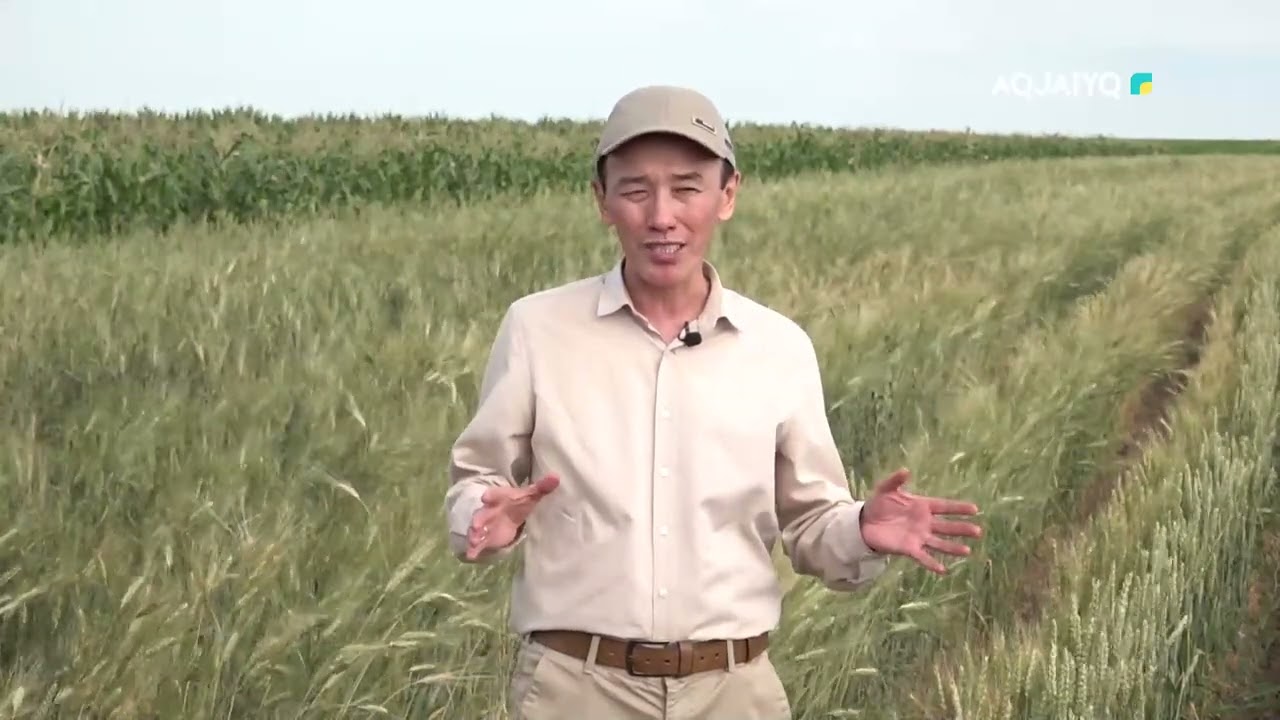Атамекен аясында. Шыңғырлау ауданы (31.07.2023)