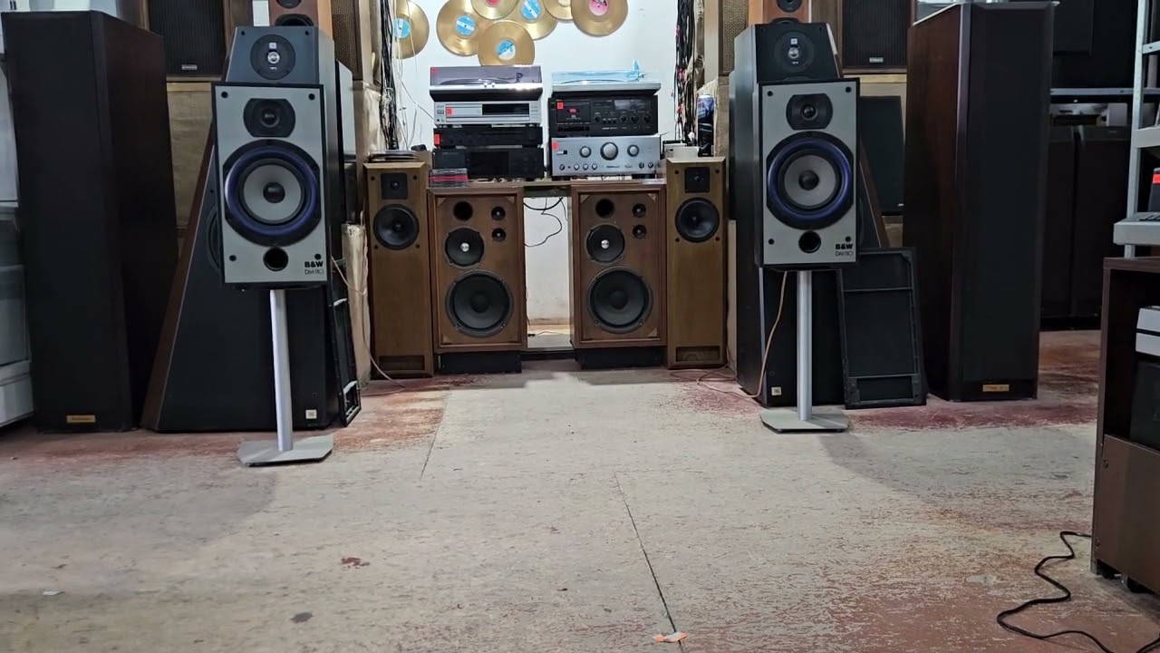 Bowers Wilkins DM 110