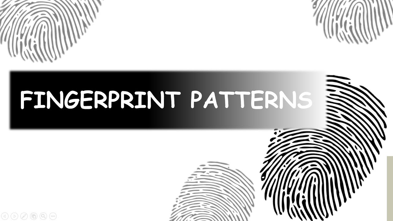 PERSONAL IDENTIFICATION- PATTERN AREA/TYPELINES/DELTA/CORE/FINGERPRINT PATTERNS/ARCHES/LOOPS/WHORLS