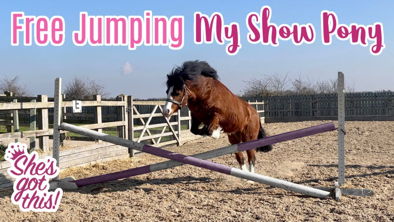 FREE JUMPING My 11hh Mare | Lilpetchannel