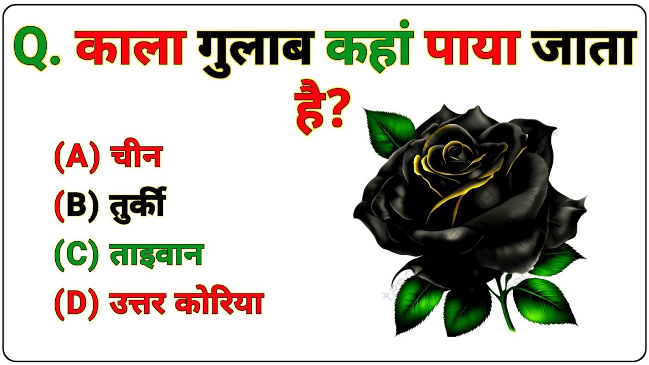 General Knowledge Quiz | सामान्य ज्ञान क्विज | gk questions