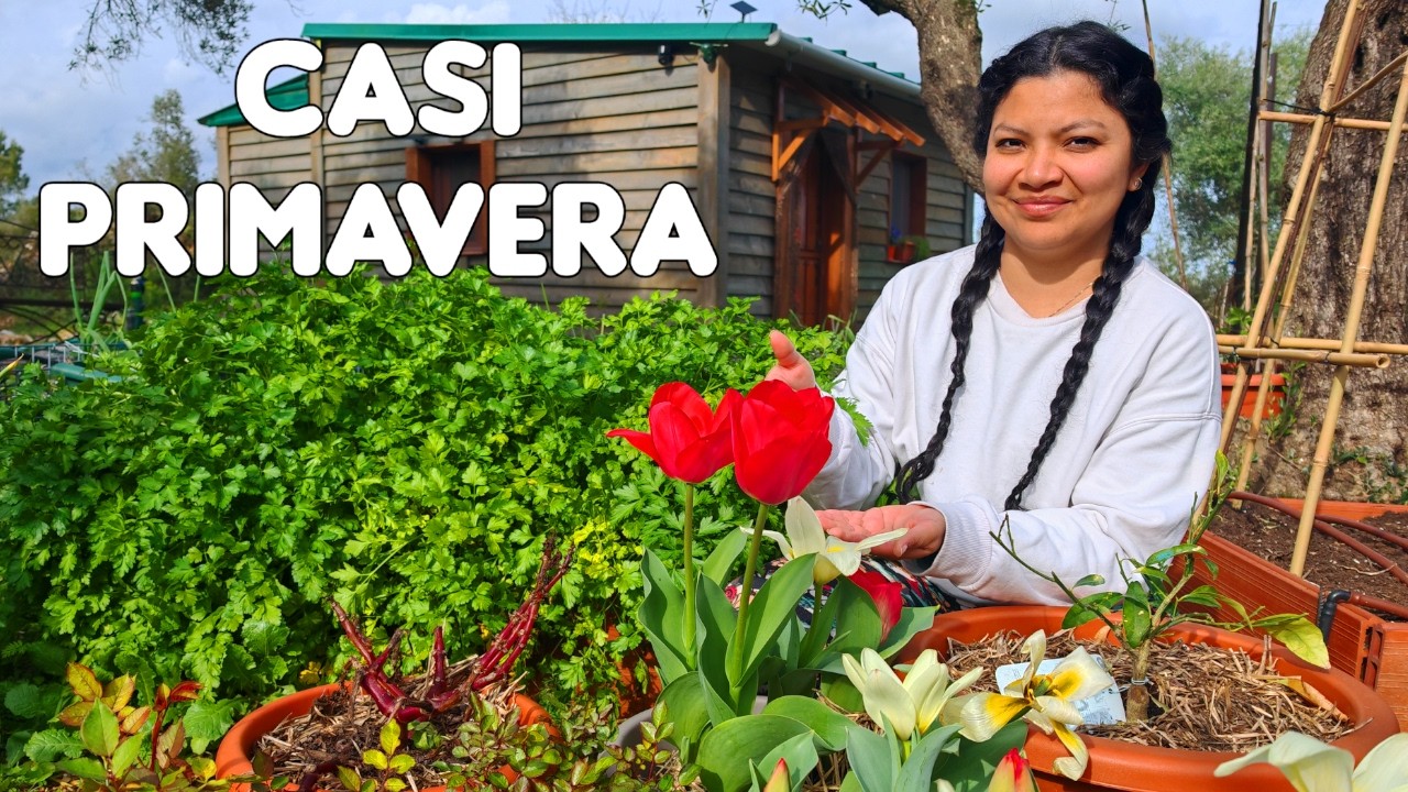 Llegan las primeras flores a la cabaña! (Ep.197)