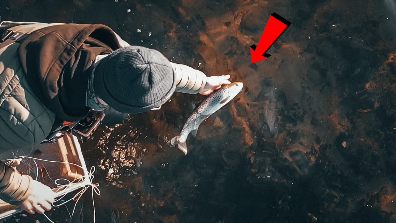 Fliegenfischen im FLACHEN auf Meerforelle