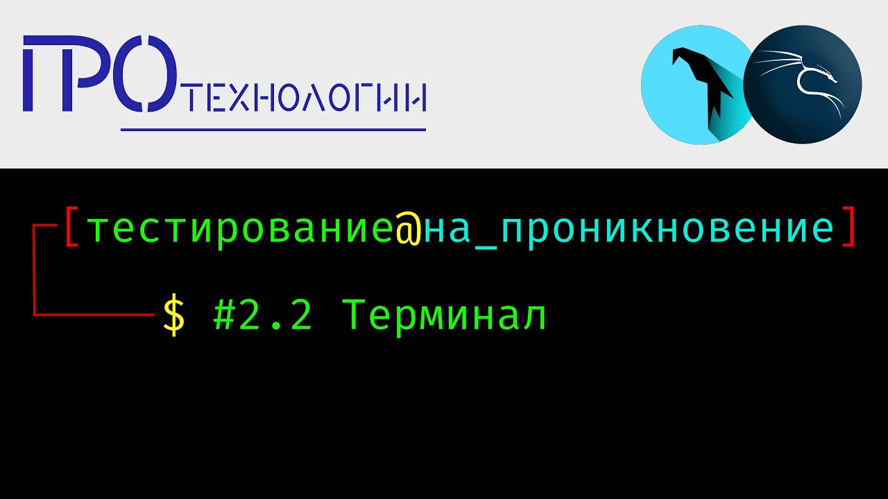 Pentest 2.2 Терминал